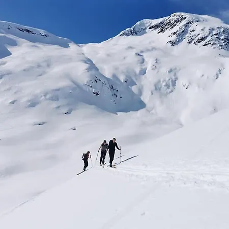 Med Fjellutsikt Til Nydelig 度假居 *