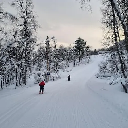 Med Fjellutsikt Til Nydelig * Sogndal