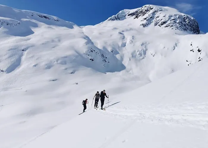 Med Fjellutsikt Til Nydelig 度假居 *