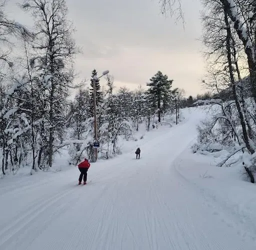 Med Fjellutsikt Til Nydelig * 桑恩达