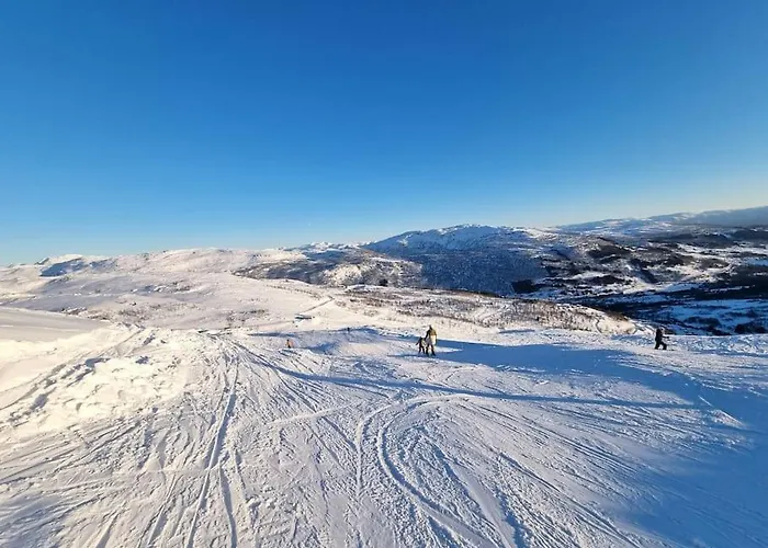度假居 Med Fjellutsikt Til Nydelig 桑恩达