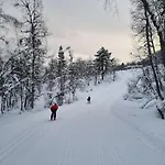 Med Fjellutsikt Til Nydelig * Sogndal